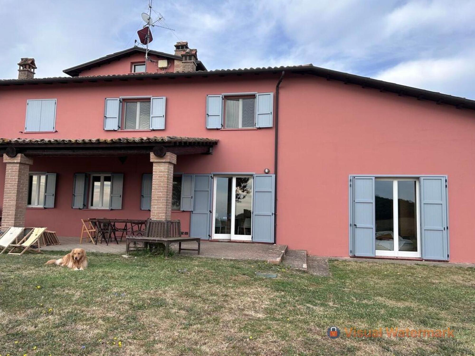 Paradiso Sulle Colline Parmensi Medesano Kültér fotó